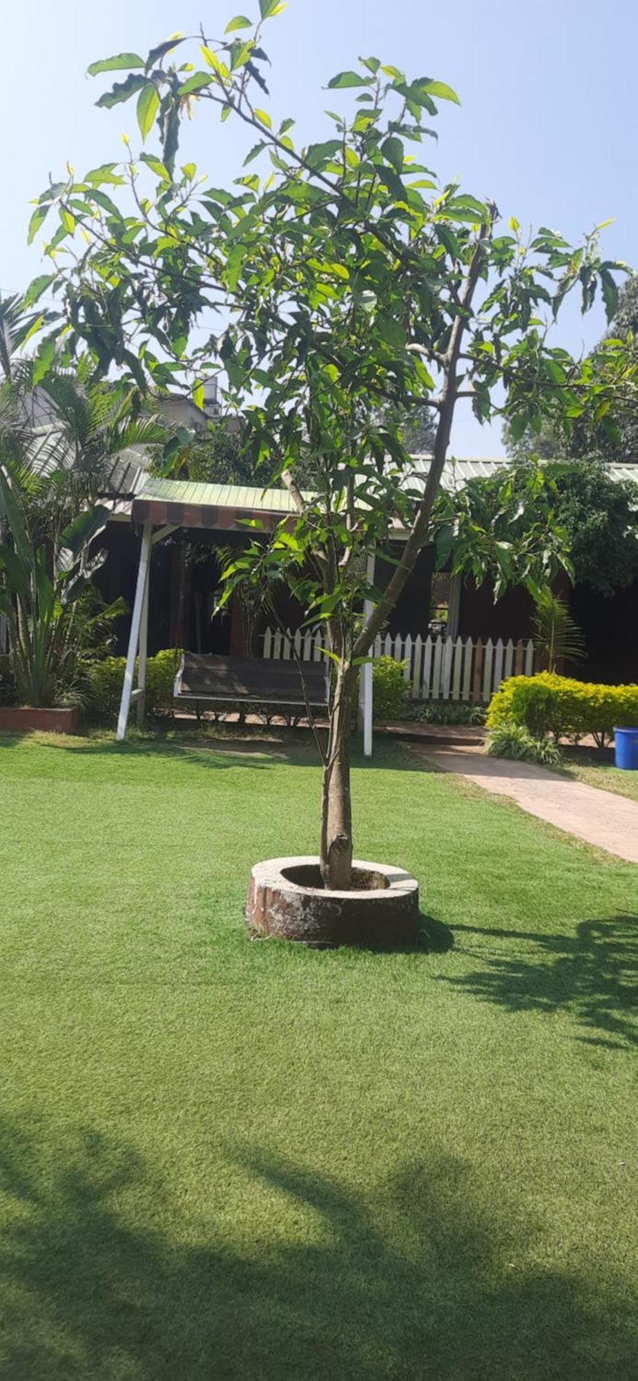 Hotel Oakwood ماهاباليشوار المظهر الخارجي الصورة